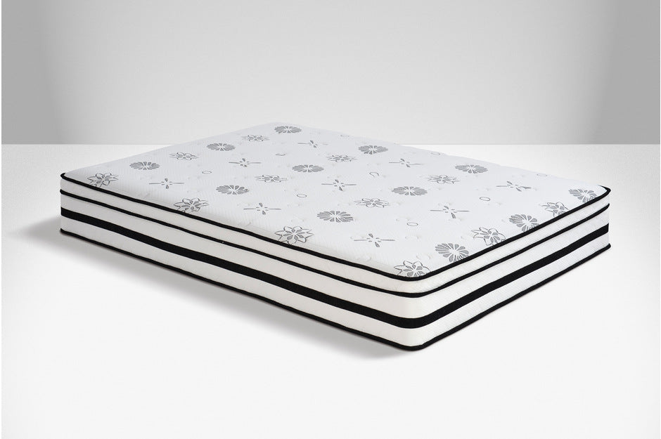 MT-PH 12'' Hybrid-Vela Collection