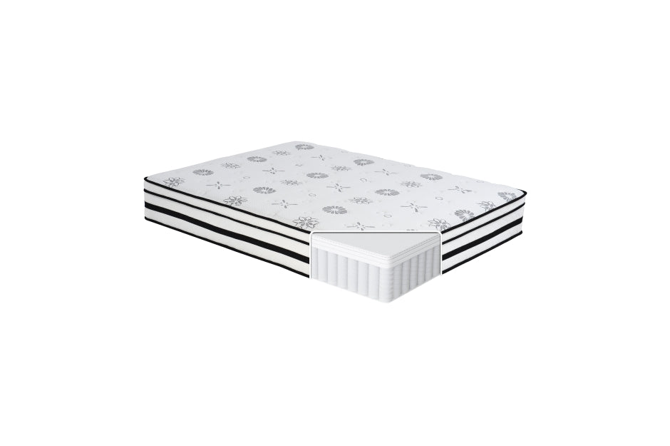 MT-PH 12'' Hybrid-Vela Collection