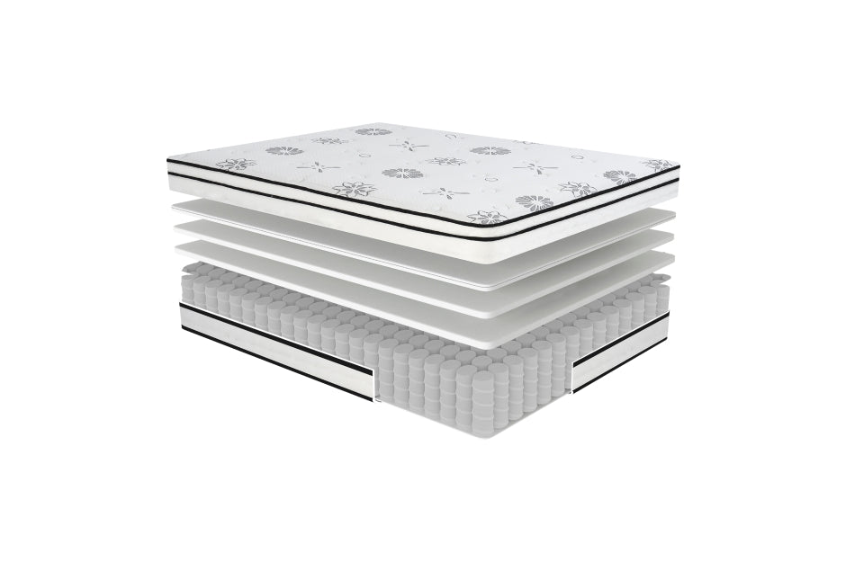 MT-PH 12'' Hybrid-Vela Collection