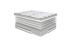 MT-PH 12'' Hybrid-Vela Collection