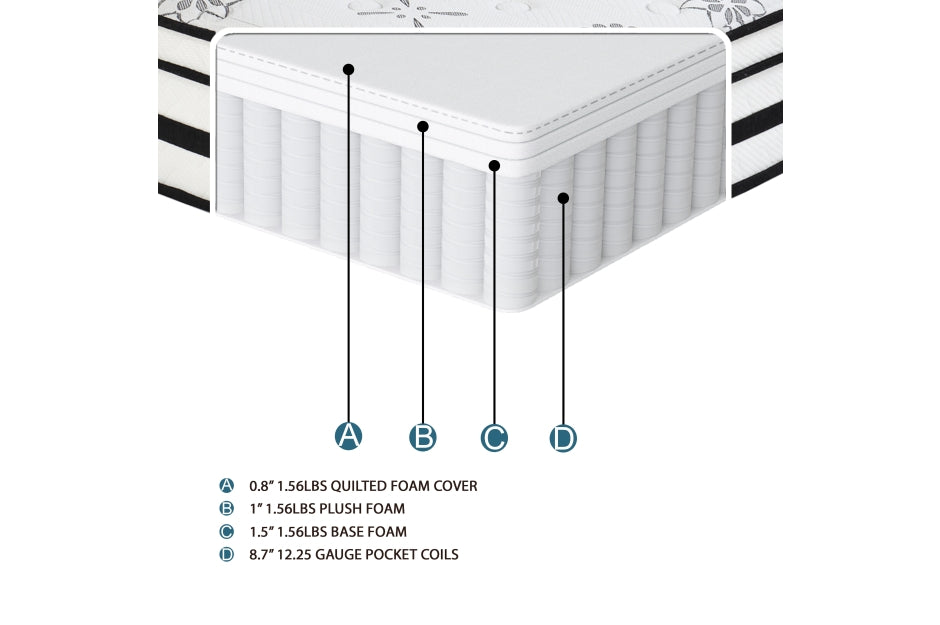 MT-PH 12'' Hybrid-Vela Collection