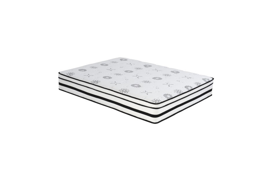 MT-PH 12'' Hybrid-Vela Collection