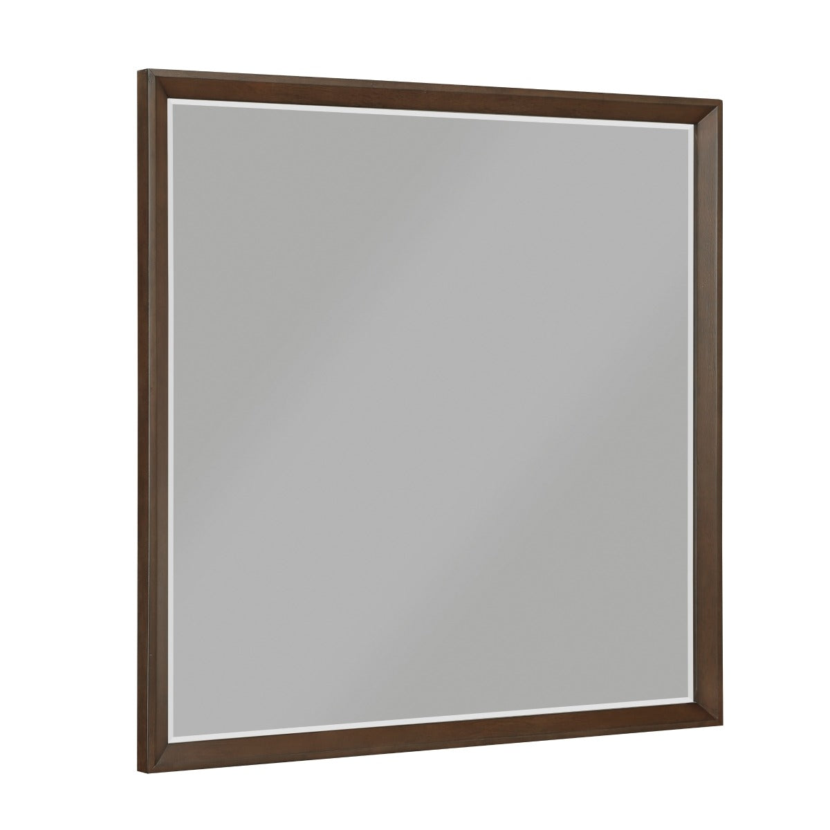 1501-6 Mirror