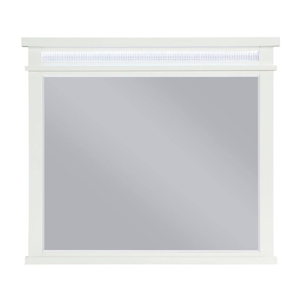 1321-6 Mirror