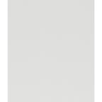 1678W-6 Mirror