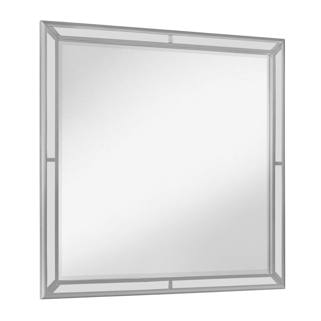 1428SV-6 Mirror