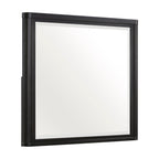 1381-6 Mirror