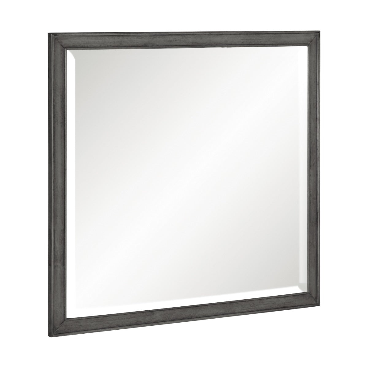 1573-6 Mirror