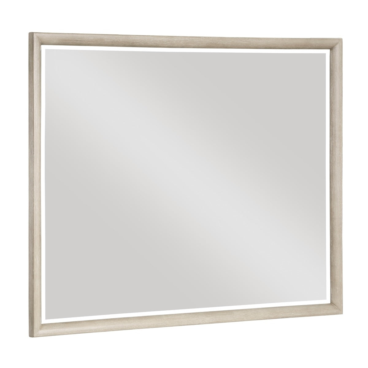 1820N-6 Mirror