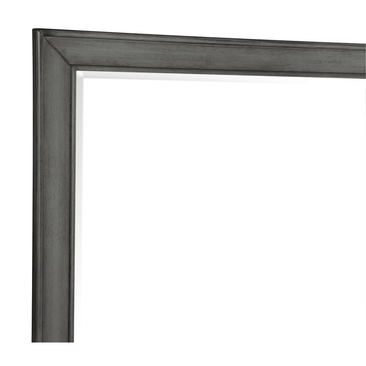 1573-6 Mirror