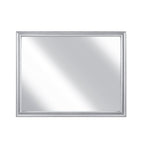 2434SV-6 Mirror