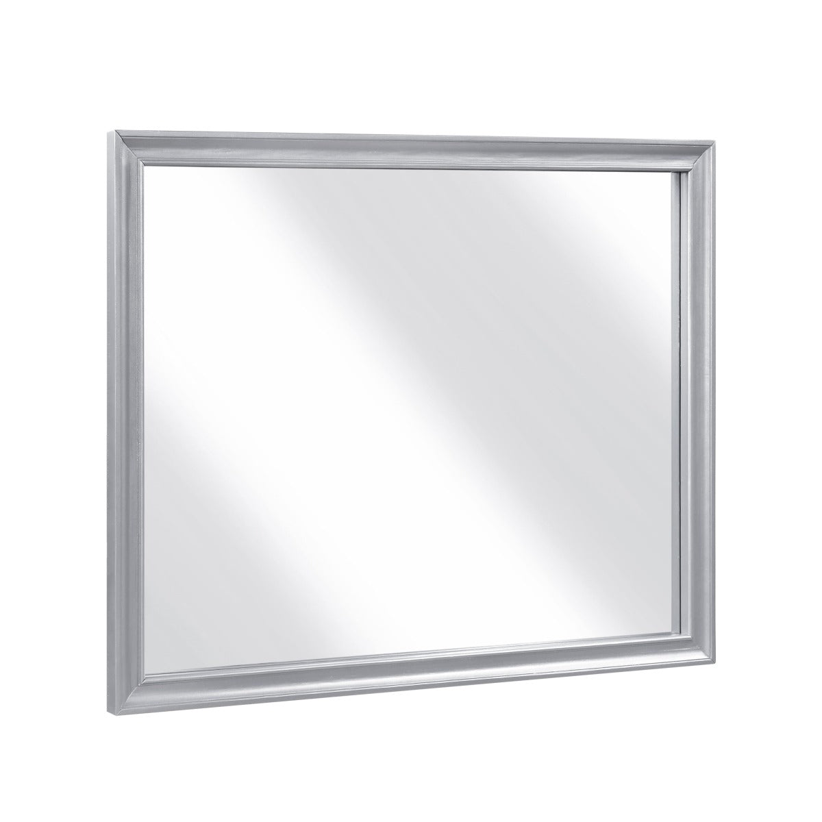 2434SV-6 Mirror