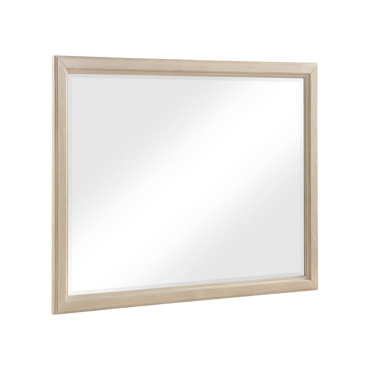 1730NB-6 Mirror