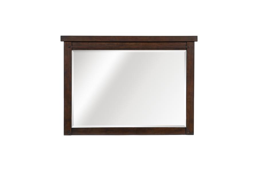 1559-6 Mirror