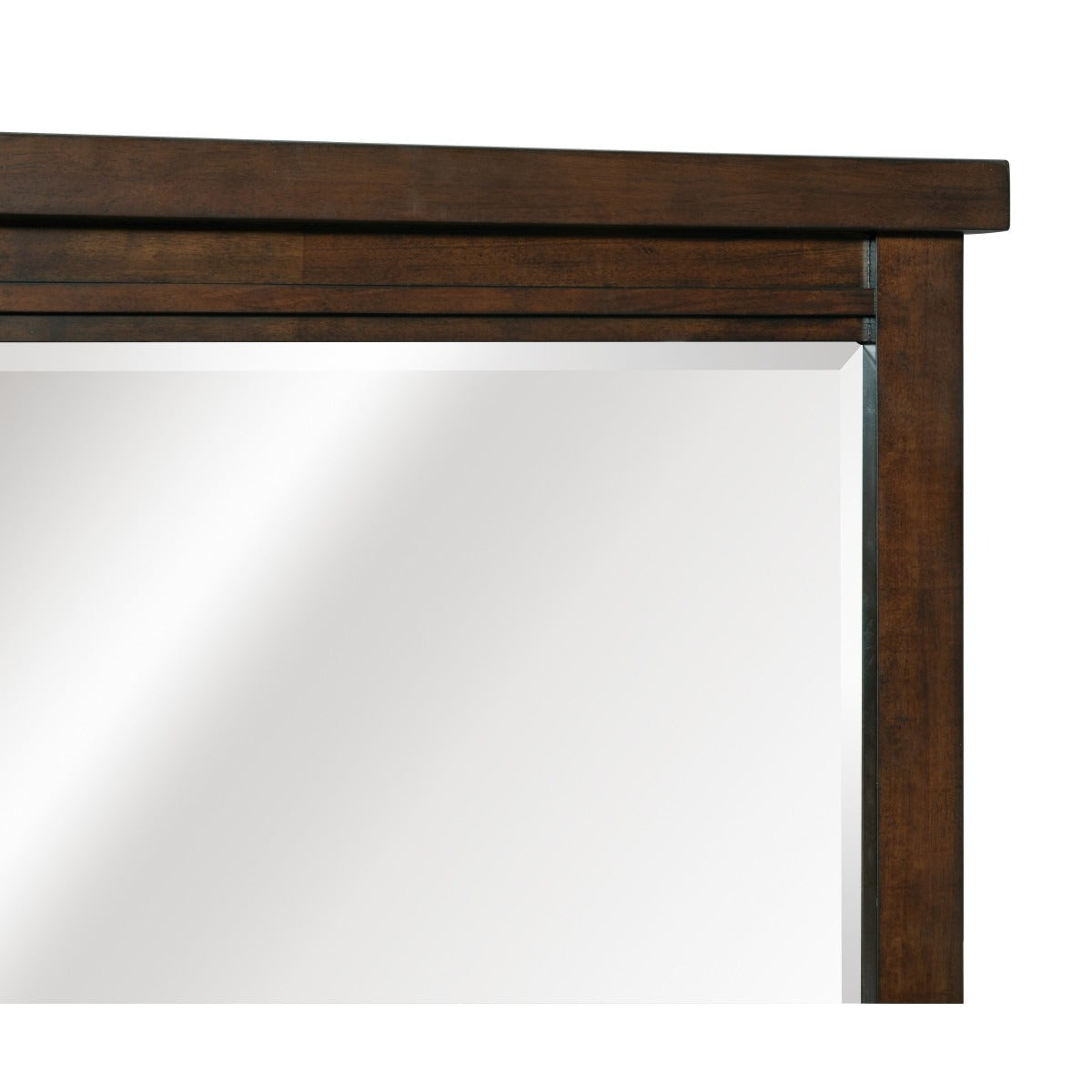 1559-6 Mirror